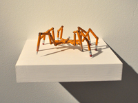 spider
